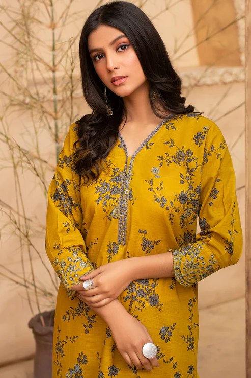 CL-D1-G1 2 Piece - Premium Embroidered Khaddar-1033 - Image 1