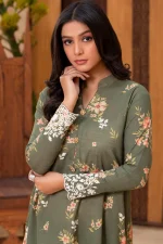 2 Piece - Premium Embroidered Khaddar-1032