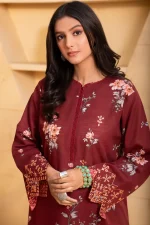 2 Piece - Premium Embroidered Khaddar-1029