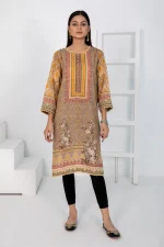 1 PIECE - DIGITALLY PRINTED KARANDI-1027 - Image 2