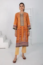 1 PIECE - DIGITALLY PRINTED KARANDI -1025 - Image 2