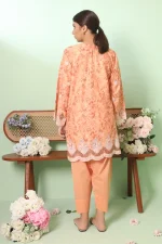 2 PIECE - PREMIUM EMBROIDERED LAWN0-1038 - Image 3