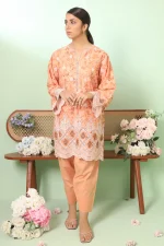 2 PIECE - PREMIUM EMBROIDERED LAWN0-1038 - Image 2