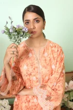 2 PIECE - PREMIUM EMBROIDERED LAWN0-1038