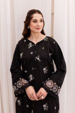 women trendy embroidered 2pc set-1004