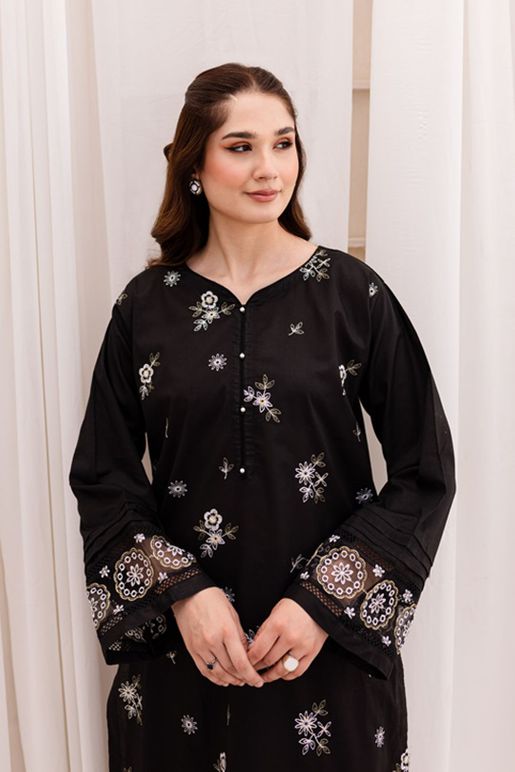 image00035_1717589205-592194182013 women trendy embroidered 2pc set-1004 - Image 1