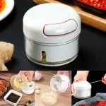 Quick Mini Chopper-1554