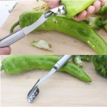 Chili Seed Puller Tool-1576 - Image 3